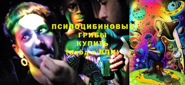 первитин Лабытнанги